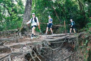 BIB: 
                            <button type="button" onclick="openModal(27721267)" class="btn btn-primary btn-sm float-right btn-popup" data-toggle="modal" data-target=".modal-high-quality">
                        <i class="fas fa-shopping-cart"></i> Add to Cart
                    </button>
                                            <button type="button" onclick="isThisMe(27721267, true)" class="btn btn-success btn-sm float-right btn-popup btn-isme hidden" data-toggle="tooltip" data-placement="bottom" title="นี่คือรูปของคุณใช่ไหม คลิกที่นี่เพื่อเอาเข้าอัลบั้ม">
                        <i class="fas fa-plus"></i> Add to album
                    </button>
                    <button type="button" onclick="isThisMe(27721267, false)" class="btn btn-warning btn-sm float-right btn-popup btn-isnotme hidden">
                        <i class="fas fa-ban"></i> Remove from album
                    </button>